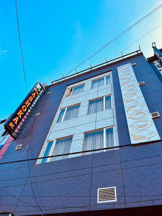 Ashoka Hotel Karol Bagh Delhi New Delhi Eksteriør bilde